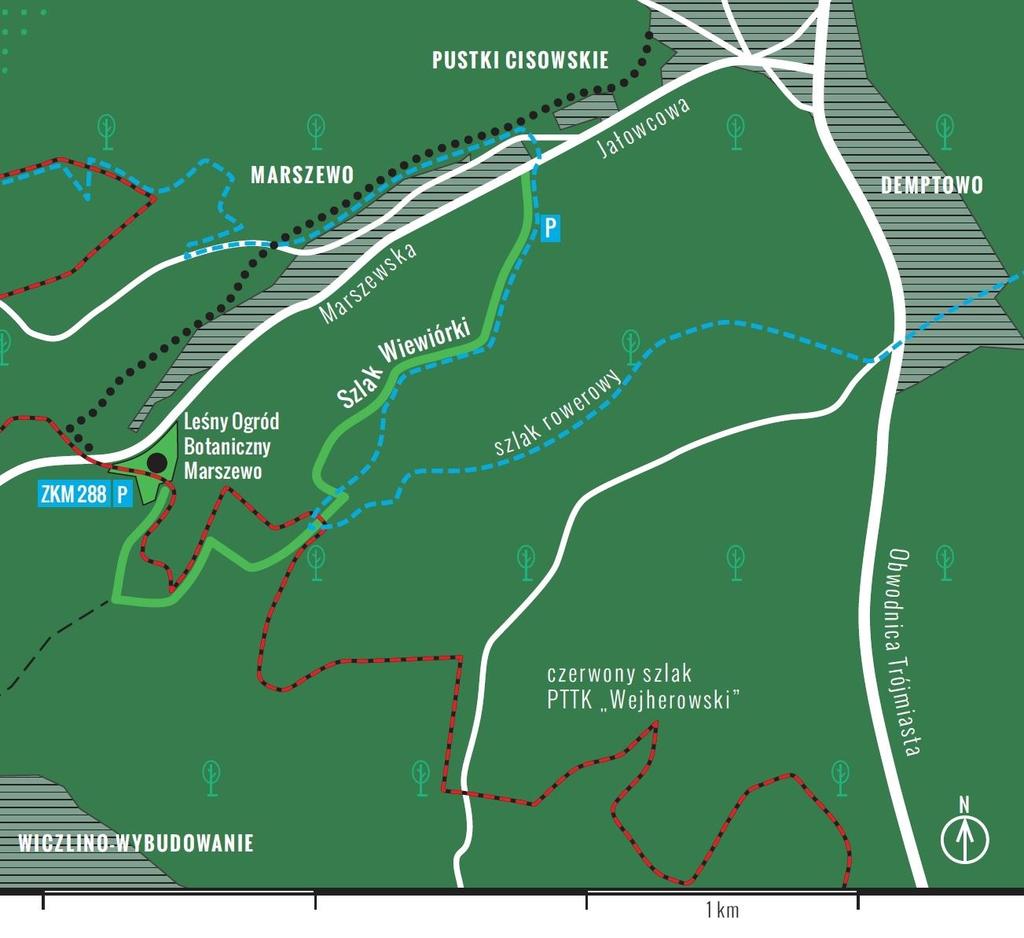 Szlak Wiewiórki mapa autorstwa firmy www.borium.