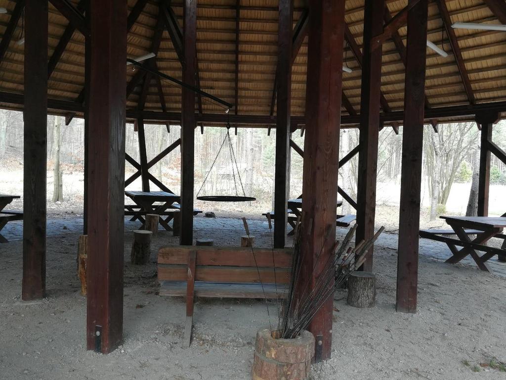 Leśny Ogród Botaniczny Marszewo w Gdyni atrakcje: Cały teren zajmuje 50 hektarów i jest podzielony na 2 części.