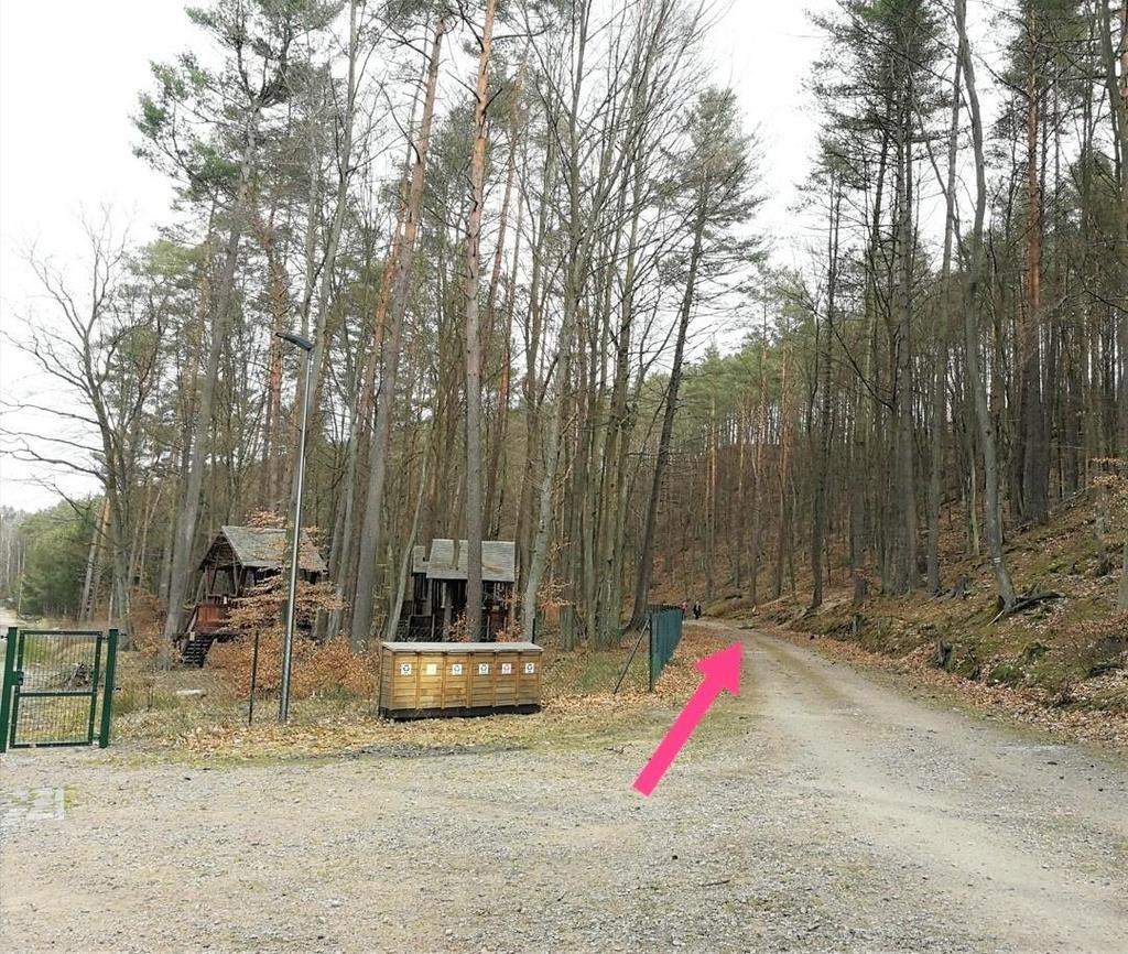Szlak Alicji w Marszewie (Ścieszka Alicji w zaczarowanym lesie) (na mapie zaznaczyłam kolorem różowym 8), jest częścią Szlaku Wiewiórki.