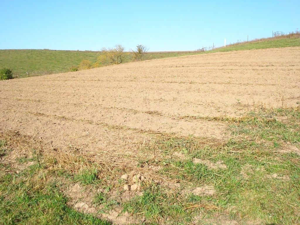 wilgotność powietrza, - ujemnego wpływu twardej wody, - obecności gatunków chwastów