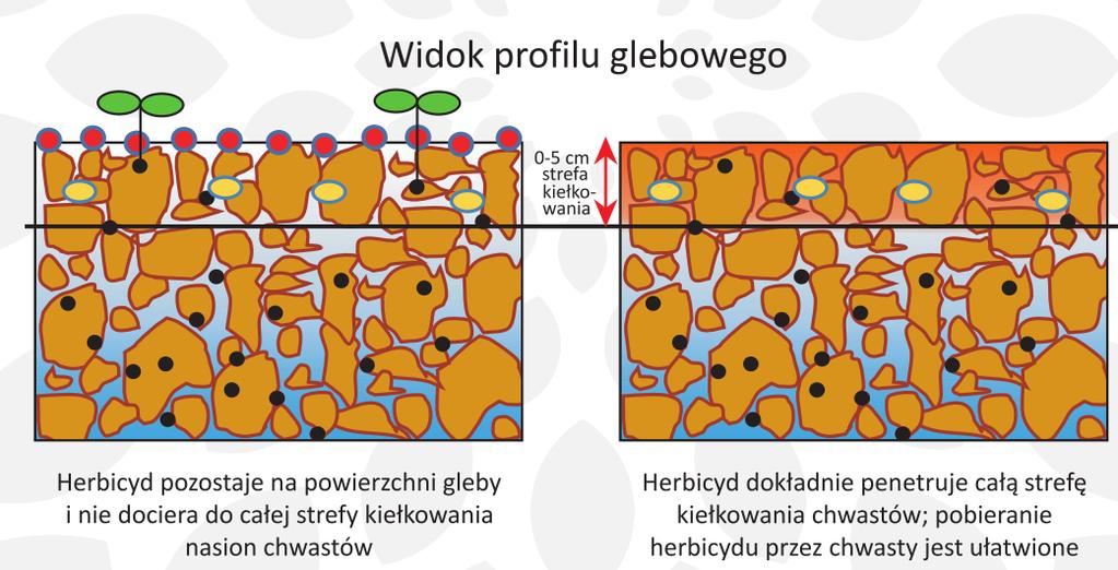 Herbicyd bez adiuwanta Herbicyd +