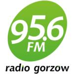 Gorzowie Wielkopolskim Samorządowe