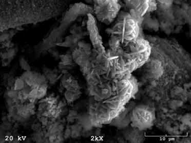 Morfologia próbki nr 5 po syntezie hydrotermalnej w 5