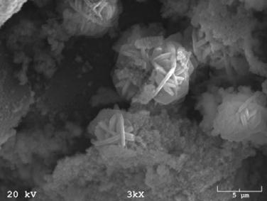 Punktowa analiza składu chemicznego dla próbki nr 5