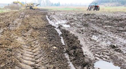 PO STRONIE PLANTATORA ników pokarmowych wprowadzanych z nawozami mineralnymi, które będą oddziaływały niekorzystnie na rosnące rośliny.