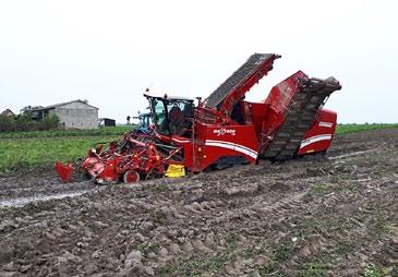 Pomimo tego kampanię w Cukrowni Kluczewo udało się przeprowadzić sprawnie organizacyjnie i z dobrymi wynikami produkcyjnymi.