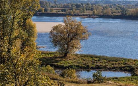 Kociewie Łagodna kraina modraków, kłosów pszenicy i maków - rozkwitających w polu i na kociewskim hafcie.
