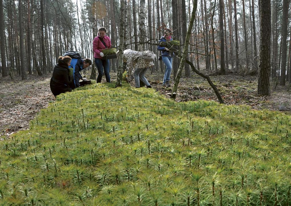 5 Działamy odpowiedzialnie 5.1. Kodeksy etyczne...68 5.2. Procedura antykorupcyjna...69 5.3. Dialog ze społecznością lokalną...70 5.4. Relacje z dostawcami...74 5.5. Wpływ na środowisko....76 5.6. Ochrona środowiska wybrane inicjatywy.