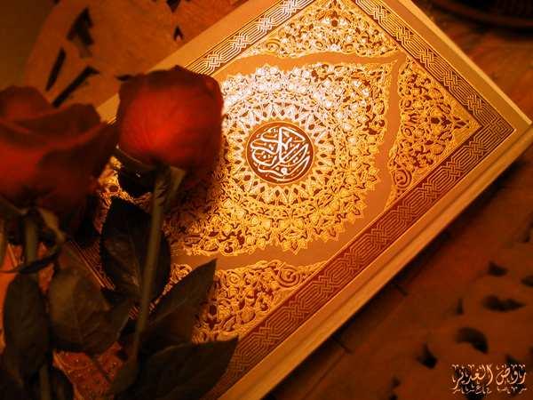 و ر ن ت www.