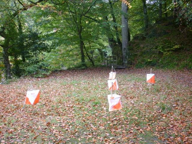Punkt kontrolny 13 Opis: PK 13, 5 lampionów, polana, wschodnia część Ten punkt