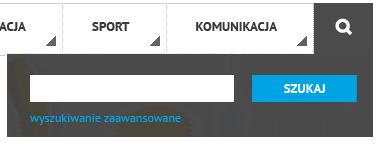 Wyszukiwarka Element obowiązkowy dla wszystkich serwisów w formie ikonki umieszczonej po prawej stronie paska nawigacyjnego, po kliknięciu w ikonę otwiera się panel z polem wyszukiwarki oraz linkiem