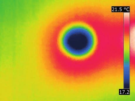 Intensywność fluorescencji zależy od gęstości grzybni. Przy wykorzystaniu takiej techniki można precyzyjnie zdiagnozować obszary wzrostu grzybni bez konieczności hodowania i oznaczania grzybów.