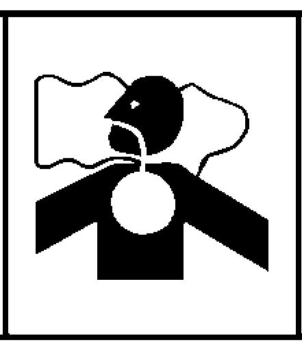 obrażenia ciała.