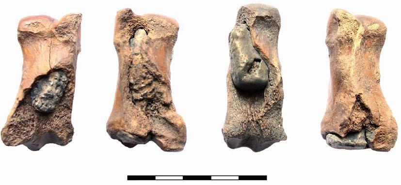 Różne przykłady stopnia wypełnienia komory kostki ołowiem. Fot. I. Gomułka Fig. 968.