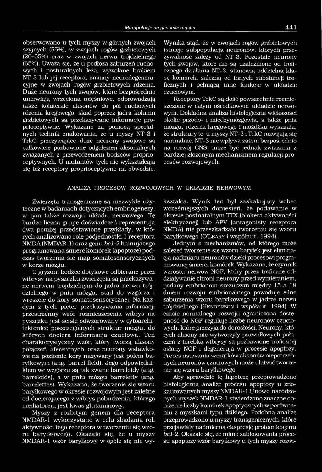 Duże neurony tych zwojów, które bezpośrednio unerwiają wrzeciona mięśniowe, odprowadzają także kolaterale aksonów do pól ruchowych rdzenia kręgowego, skąd poprzez jądra kolumn grzbietowych są