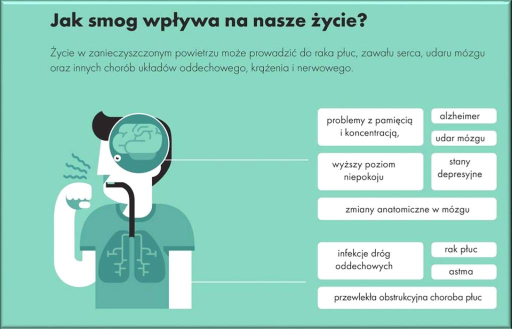 Problem smogu przewlekła obturacyjna