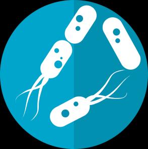 chorobotwórczym. 17 Badania do celów sanitarno- epidemiologicznych KTO PODLEGA OBOWIĄZKOWYM BADANIOM DO CELÓW SANITARNO -EPIDEMIOLOGICZNYCH?