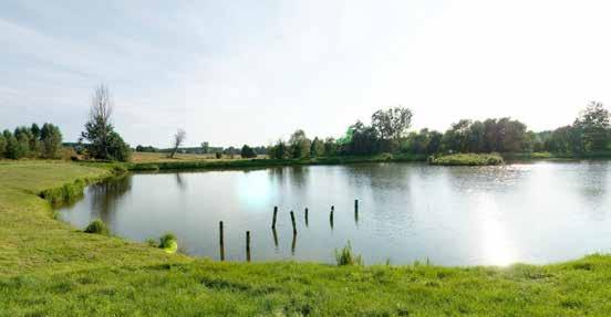 2. Ośrodek Wypoczynkowy Tawerna - Stawiska 2. Poilsio centras Taverna-Stawiska Ośrodek Wypoczynkowy, Tawerna - Stawiska to miejsce położone w malowniczym miejscu, z dala od miejskiego zgiełku.
