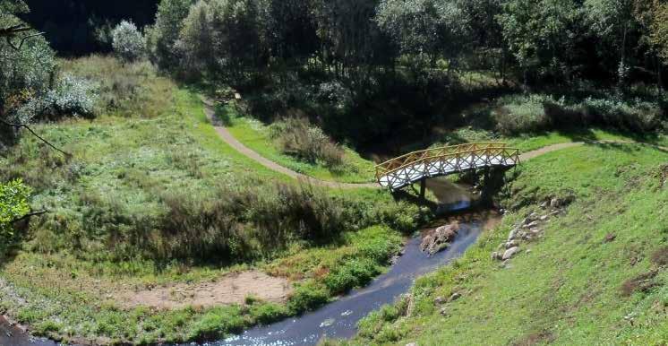 7. SZEREGOWCE GRODZISK W MOLAVĖNAI 7. MOLAVĖNŲ PILIAKALNIŲ KOMPLEKSAS Szeregowce grodzisk w Molavėnai są obecnie najważniejszymi i najczęściej zwiedzanymi obiektami w Rejonie Raseiniai.