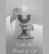 Thursday - Czwartek - May 30 The Ascension of the Lord 12:00 pm + Krzysztof Grabowski (Jadzia Bryś) 7:00 pm + Danuta Adamczyk (Celine Sawon) Friday - Piątek - May 31 The Visitation of the