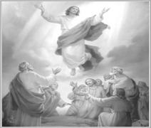 30 Maja Święto Obowiązkowe Środa 29 Maja Msza Święta Wigilijna: o godzinie 19:00 (polsko / angielska) Czwartek 30 Maja Msze Święte: 12:00 oraz 19:00 (polsko / angielska) Msze Święte 29 oraz