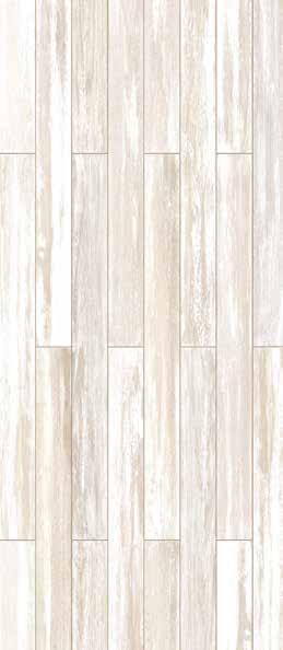 umber 113 spruce
