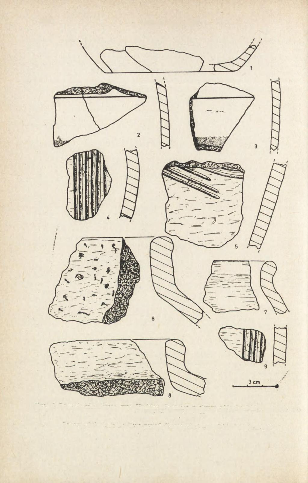 258 ANTONI JODŁOWSKI Ryc. 6.