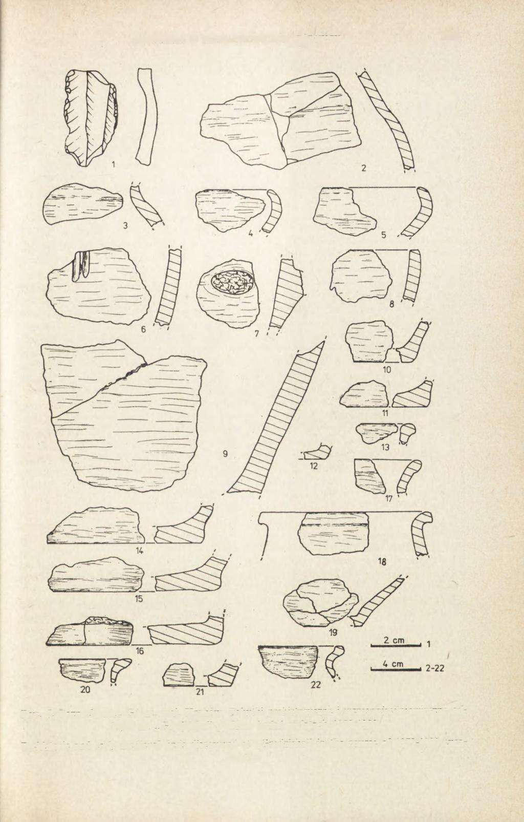 GRODZISKO W POZNACHOWICACH GÓRNYCH 259 Ryc. 7.
