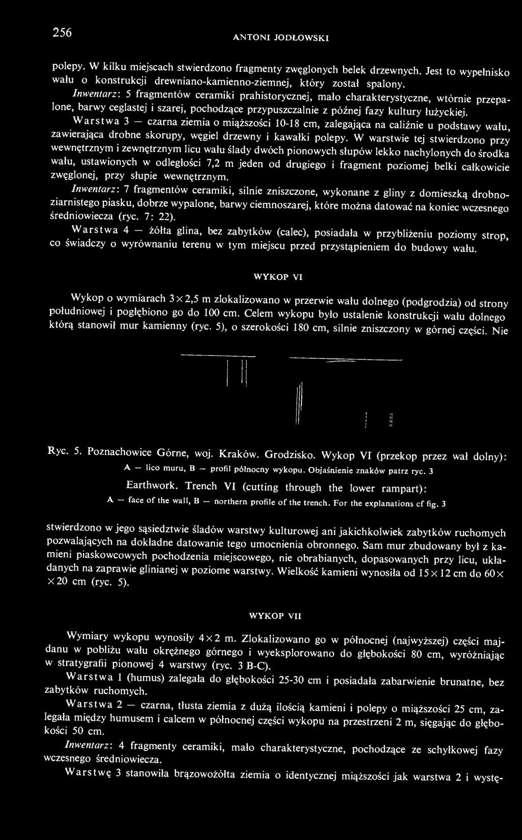 Warstwa 3 - czarna ziemia o miąższości 10-18 cm, zalegająca na caliźnie u podstawy wału, zawierająca drobne skorupy, węgiel drzewny i kawałki polepy.