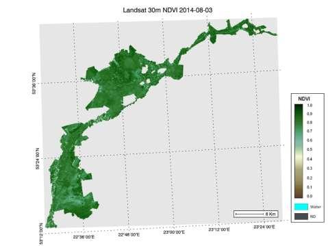MAPY ZMIAN WSKAŹNIKA ROŚLINNOŚCI NDVI NA