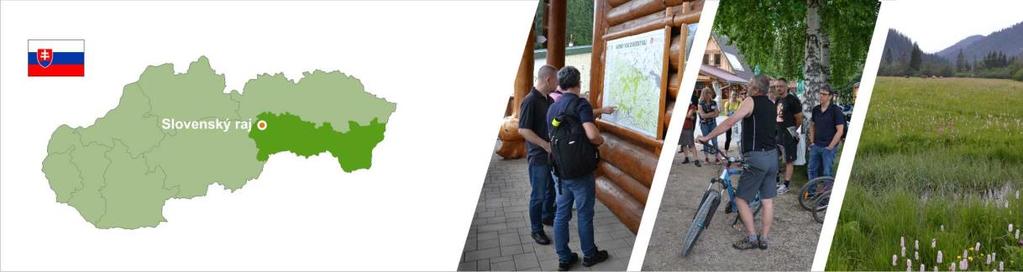 [Synt.4] System transportowy pozwala na budowę w oparciu o niego nowych sieci aktywnej współpracy podmiotów zainteresowanych rozwojem obszaru, dając możliwość realizacji nowych produktów i inicjatyw.