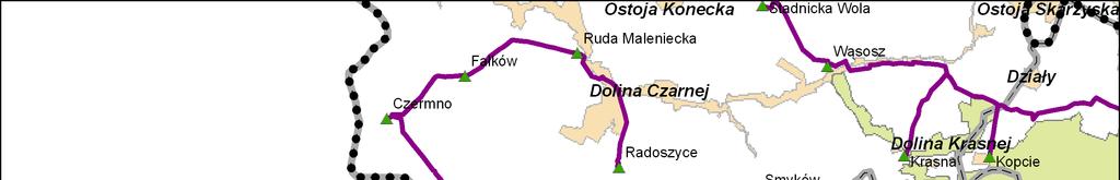 Strona