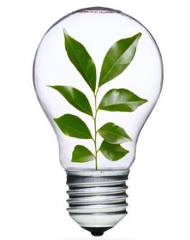 Wymogi klienta - wyzwanie Oszczędność energii elektrycznej Komfort pracowników Elastyczne rozwiązanie różne wymogi dla różnych części biura / komunikacja, open office, pokoje spotkań, sale