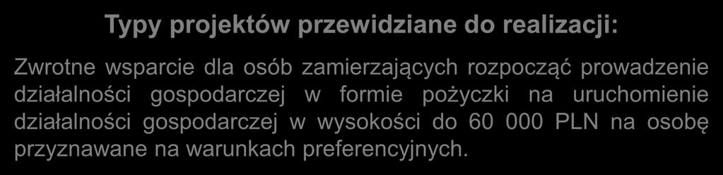 działalności gospodarczej w formie pożyczki na