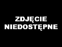 wymagających nacisku przy podawaniu Zastosowanie 00009258 33331 RG-400 15.