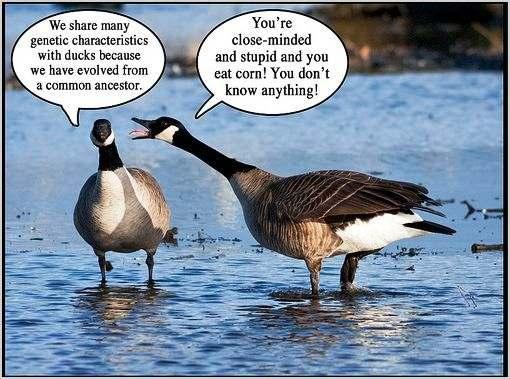 Questions?