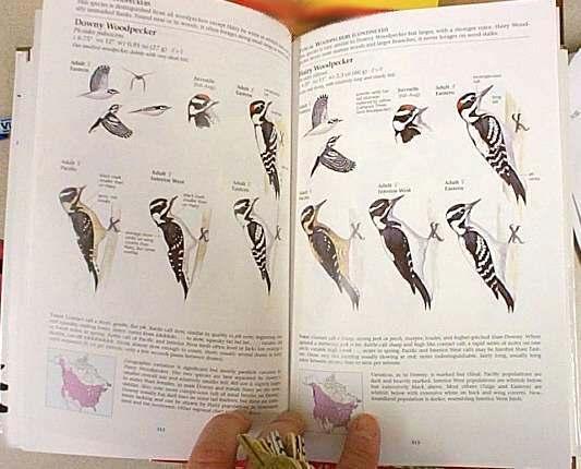 Using a Field Guide