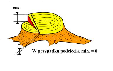 rzazem podcinającym(dolnym) Protokół punkt 7 : Zbyt