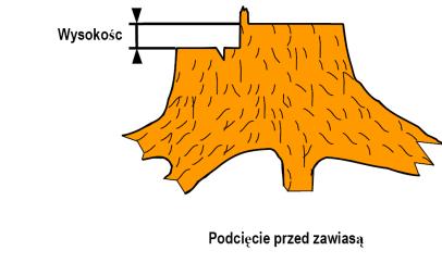 oznaczeniem(1.