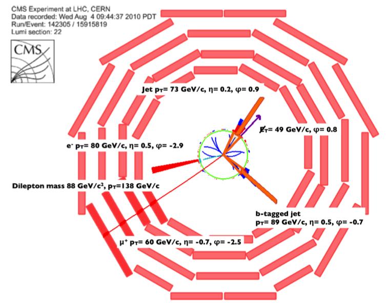 Poszukiwanie kwarka top w CMS! e +!