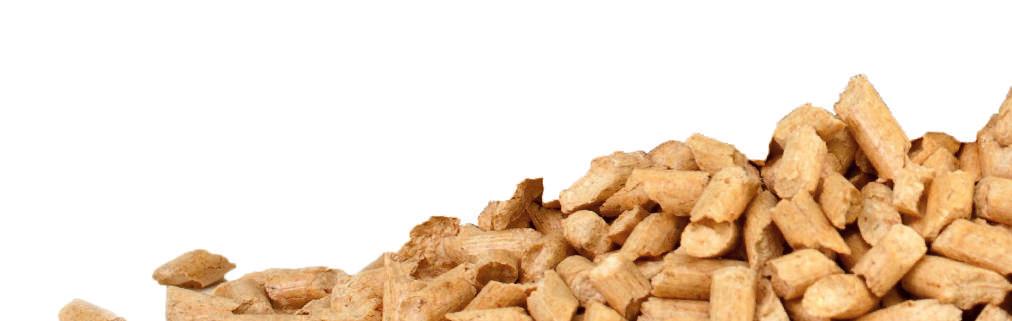 Ktły stalwe centralneg grzewania z autmatycznym pdawaniem paliwa i autmatycznym czyszczeniem SERI SLIM PELLET MINI TYP SLIM PELLET MINI 10 SLIM PELLET MINI 15 SLIM PELLET MINI 12 12 1 B 590 590 690 C