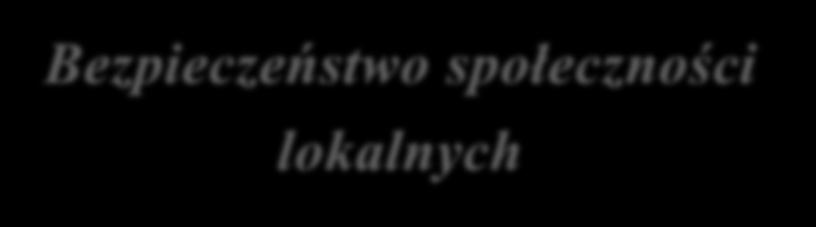 Tematyka Konferencji: Bezpieczeństwo społeczności lokalnych W roku 2019 Państwowa Wyższa Szkoła Zawodowa w Płocku obchodzi jubileusz dwudziestolecia.