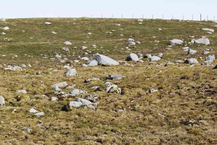 Wymagania: typowe grunty orne w Norwegii Rezultat: