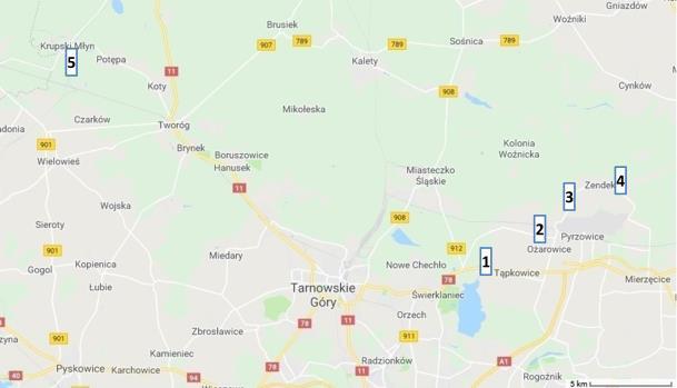 mym istotnie rośnie wkład zanieczyszczeń powodowanych przez komunikację i transport w całkowitej puli zanieczyszczeń środowiskowych.