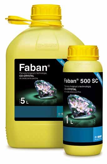 Faban 500 SC najważniejsze korzyści Faban 500 SC wyniki doświadczeń NIEZALEŻNOŚĆ OD WARUNKÓW POGODOWYCH Faban 500 SC skuteczność ochrony przed parchem na liściach i owocach Fungicyd Faban 500 SC może