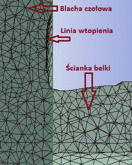 Osobliwość naprężenia jest to miejsce, w którym wraz ze wzrostem gęstości siatki silnie nieliniowo wzrasta naprężenie, w ten sposób, że dla teoretycznego rozmiaru elementu skończonego równego zero