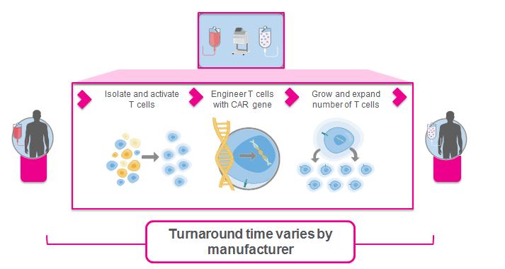 CAR T Cell Manufacturing