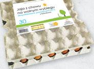36563054 MASA JAJOWA PASTERYZOWANA