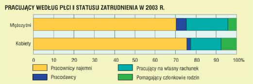 Najbardziej sfeminizowaną grupą zawodową jest grupa pracowników biurowych, w której w 2003 r.