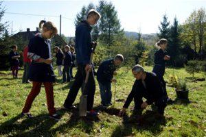 Nasza szkoła w październiku 2012 roku po raz kolejny przystąpiła do X edycji programu edukacyjno ekologicznego pt.